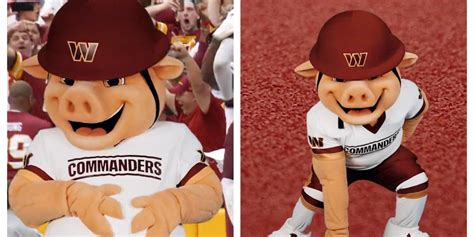 Washington viplwts mascot